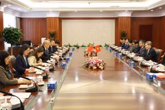 The talks between the delegations of the Supreme People's Courts of Vietnam and China (Photo: VNA)
