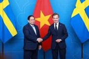 Prime Minister Pham Minh Chinh holds talks with Swedish counterpart