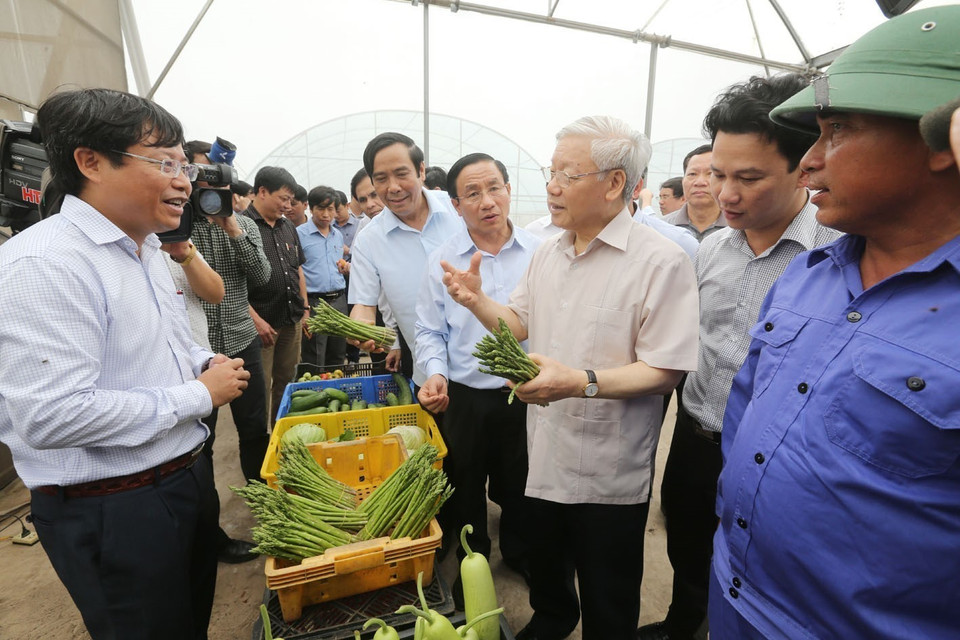 Party General Secretary Nguyen Phu Trong visits a high-tech production area of fruit and vegetable on sandy soil along the coast of the central province of Ha Tinh, on April 22, 2016. (Photo: Tri Dung – VNA)