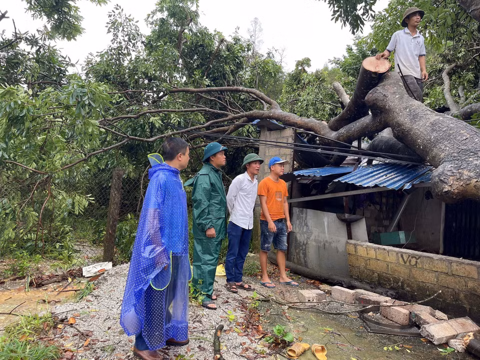 Typhoon No. 3 causes trees to fall onto homes in Son Nam commune, Son Duong district, Tuyen Quang province. (Photo: VNA)