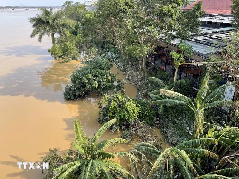 Red River water levels recede (Photo taken at 8:15 AM, September 13, 2024, by VNA)