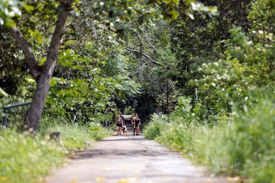 Small paths off the main coastal road allow visitors to walk through shaded mangrove forests. (Photo: VNP/VNA)
