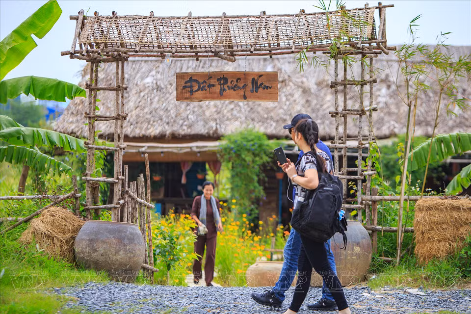 Tourists visit Phuong Nam farm. (Photo: Vietnam Pictorial/VNA)