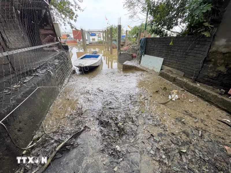 Red River water levels recede (Photo taken at 8:15 AM, September 13, 2024, by VNA)