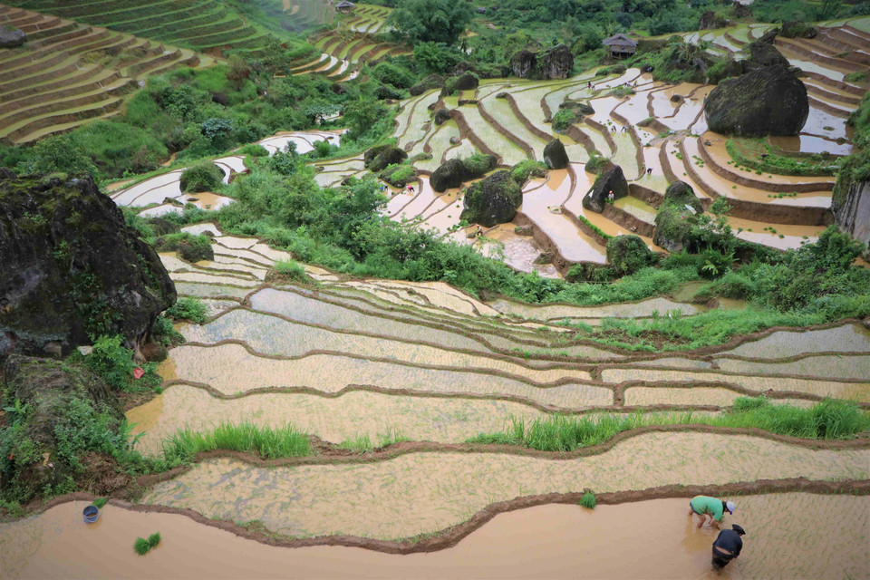 Khun Ha waterlogged terraced fields in Tam Duong district, Lai Chau province (Photo: VNA)