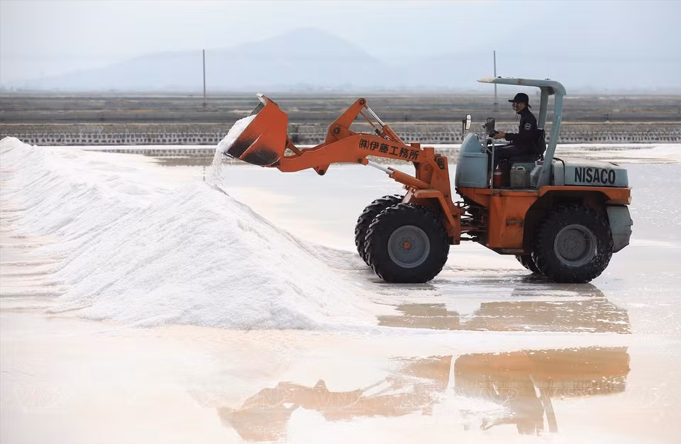 Salt is piled up and loaded onto trucks for distribution. (Photo: VNP/VNA)