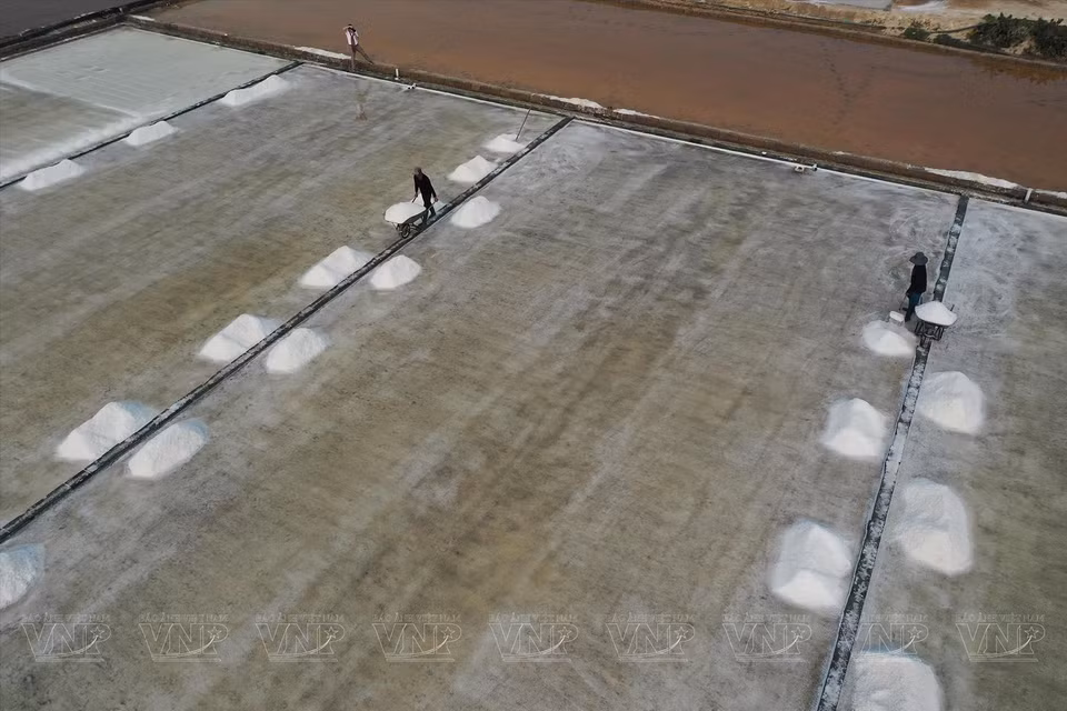 Ninh Thuan’s salt production concentrates in Phuong Hai, Tri Hai, Nhon Hai of Ninh Hai district, and Ca Na, Phuoc Diem, and Phuoc Minh of Thuan Nam district. (Photo: VNP/VNA)