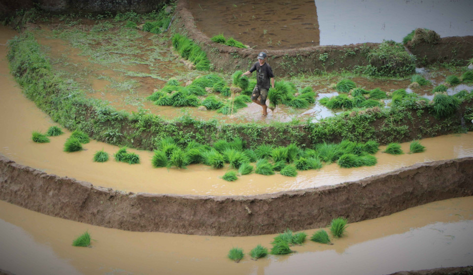 Khun Ha commune is home to 93% of the Mong ethnic people. (Photo: VNA)