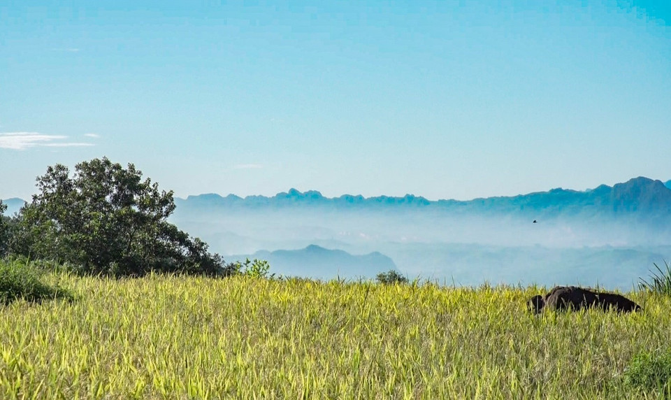 Interspersed among the hillsides are terraced fields and forests, preserving the pristine and tranquil atmosphere of the area. (Photo: VNA)