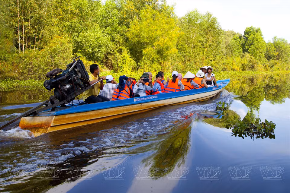 Visitors take a boat ride through canals filled with blooming water lilies to explore the pristine cajuput forest. (Photo: Vietnam Pictorial/VNA)