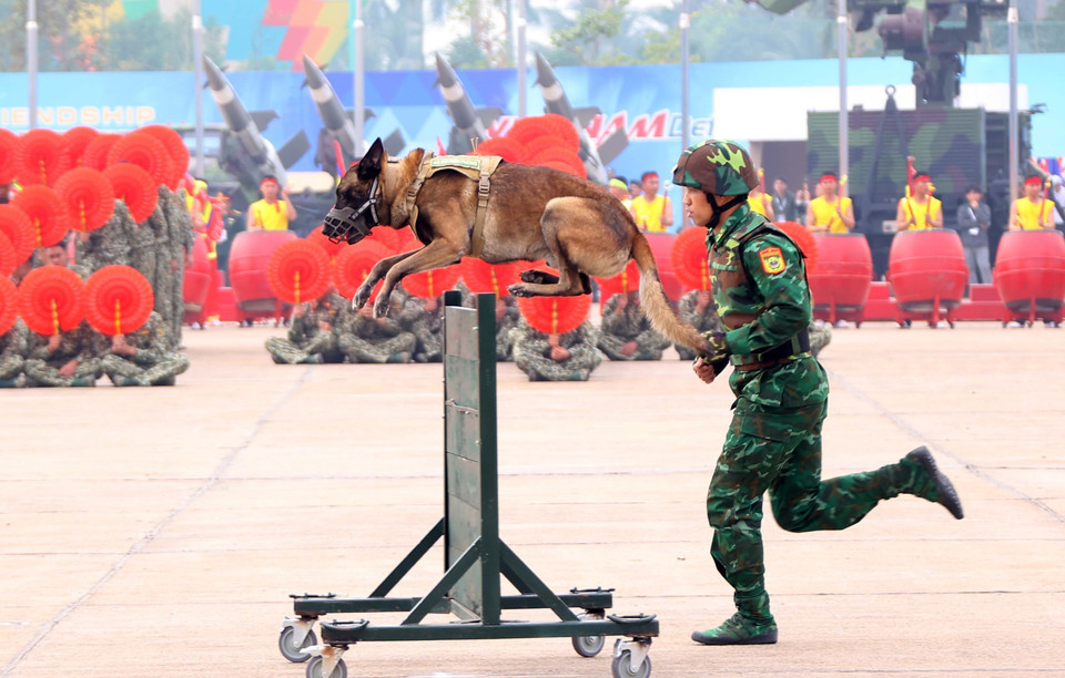 Canine forces perform at the rehearsal for the opening ceremony of the Vietnam International Defense Expo 2024. (Photo: Van Diep - VNA)