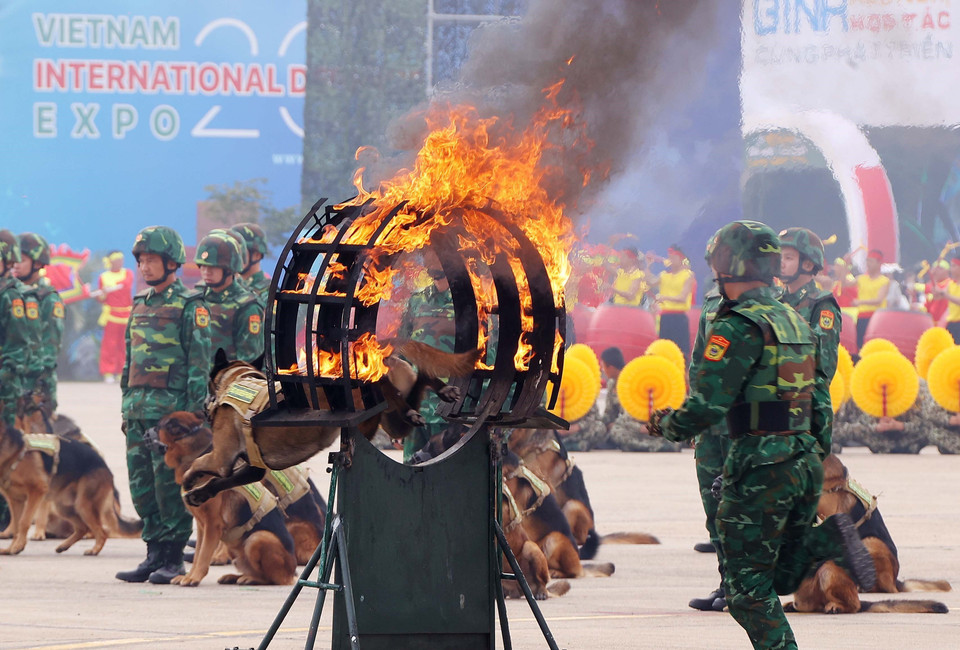 Canine forces jump through fire. (Photo: Van Diep - VNA)