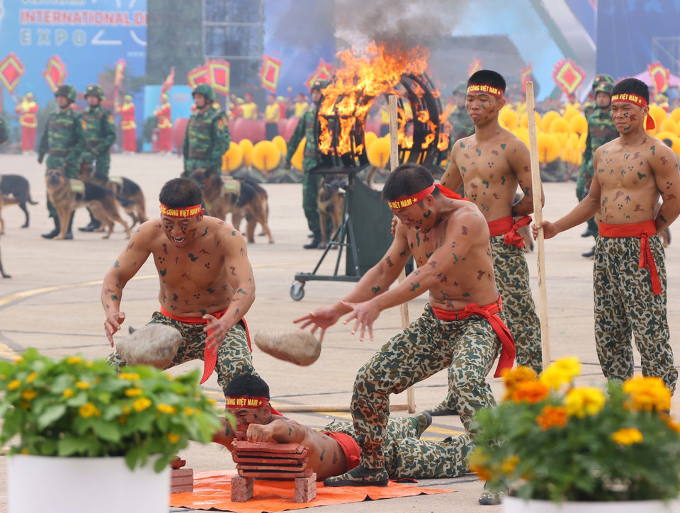 Commando forces demonstrate martial arts strength. (Photo: Van Diep - VNA)