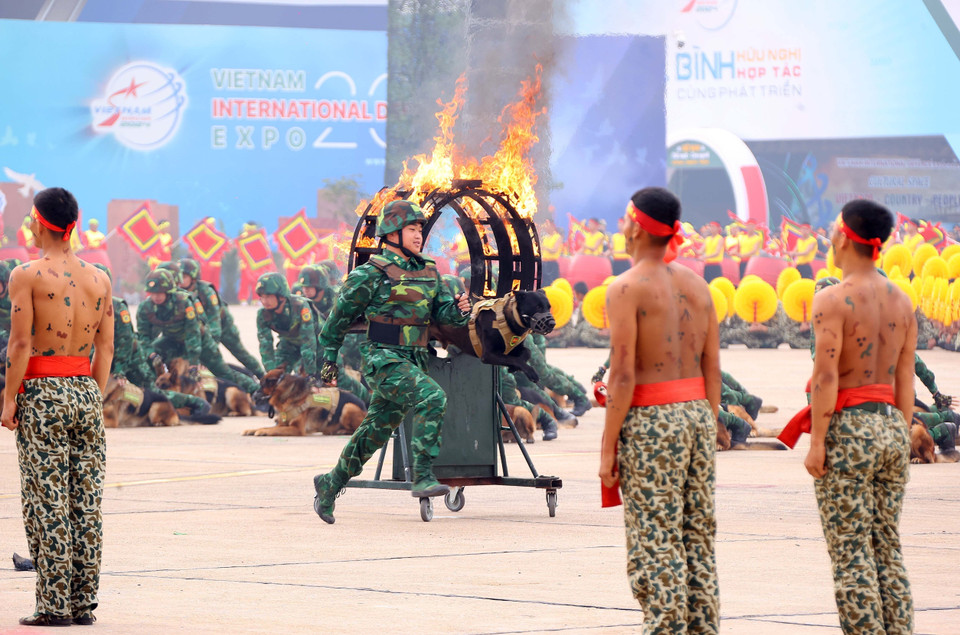 Canine forces perform at the rehearsal. (Photo: Van Diep - VNA))