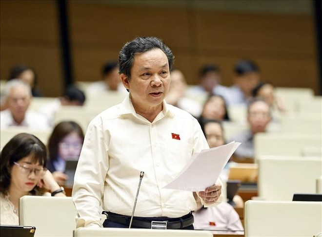 Deputy Hoang Van Cuong from Hanoi. (Photo: VNA) duong-sat-1.jpg