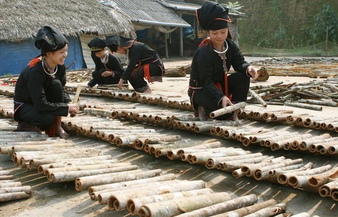 Cinnamon from Yen Bai province is processed into 50 product types, with 28 products certified as OCOP 3-star or higher. (Photo: VNA) vna-potal-yen-bai-no-luc-phat-trien-va-nang-tam-san-pham-ocop-7867073.jpg