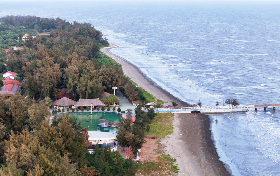 The coastal pine forest tourism area is a unique attraction along the Can Gio coastline. (Photo: VNA)