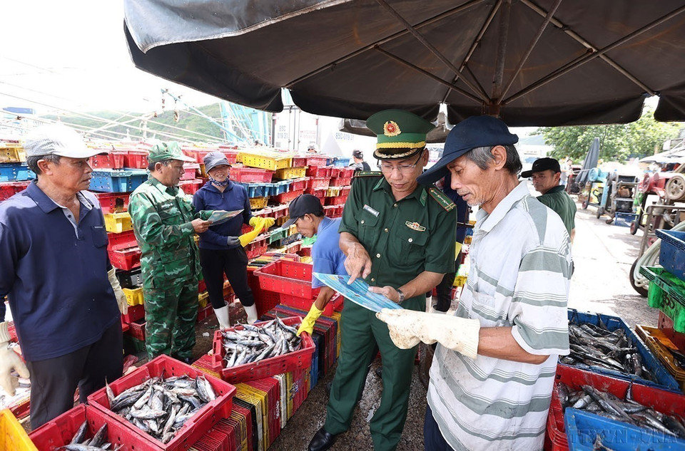 Border guard officers disseminate information to fishermen on illegal, unreported and unregulated fishing (IUU) regulations at Quy Nhon fishing port, Central Highland Gia Lai province. (Photo: VNA)