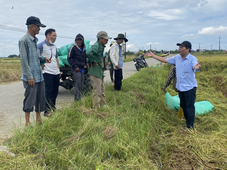 Deputy Director of the Department of Agriculture and Environment Le Van Anh instructing people to accelerate rice harvesting before Storm No. 5 makes landfall. (Photo: VNA)
