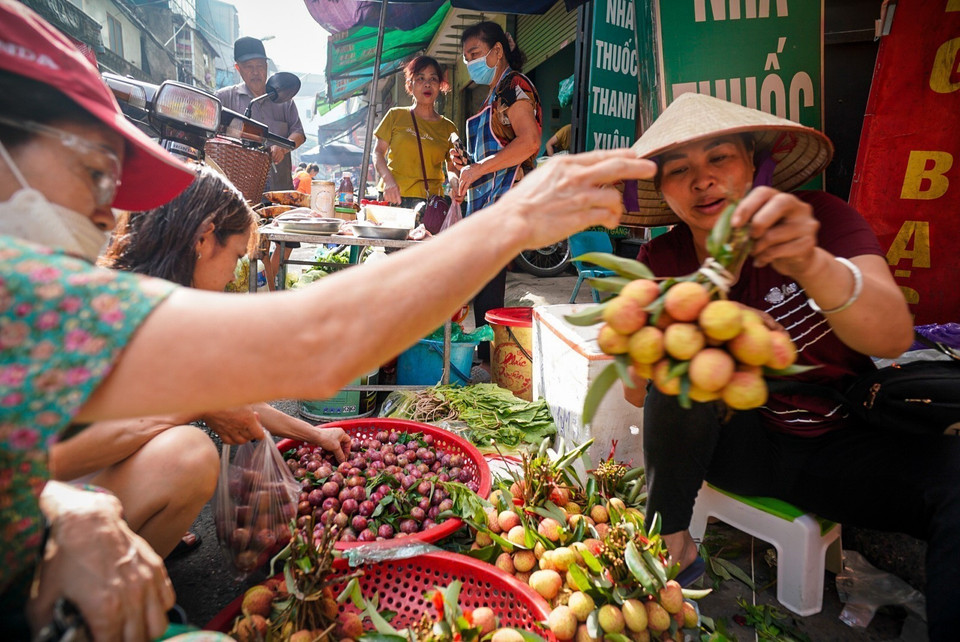 Doan Ngo Festival coincides with the peak season of many fruits, especially those with sweet or sour flavours such as plums and lychees. (Photo: VNA)
