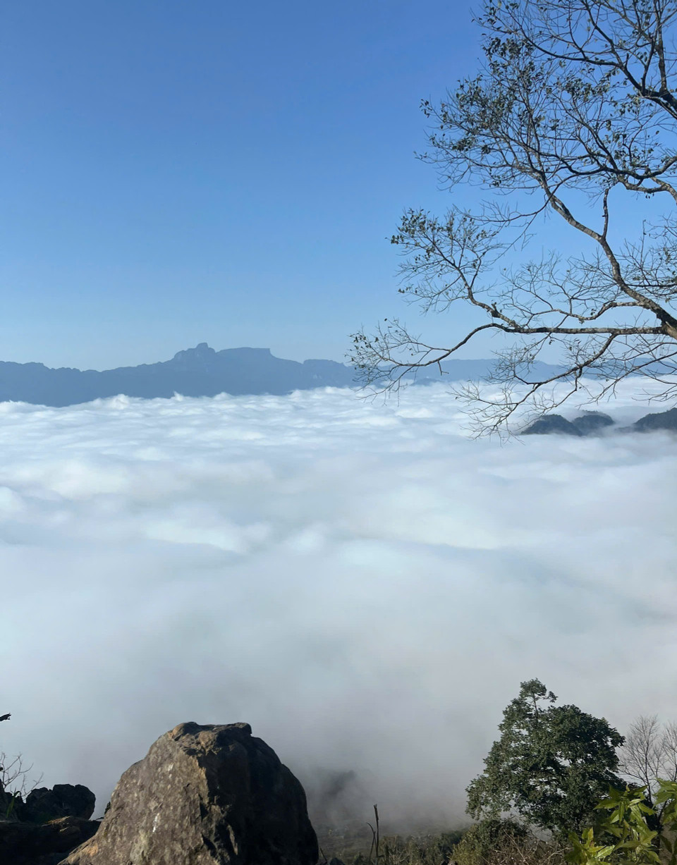 A sea of clouds over Pa Phach peak on Moc Chau plateau (Photo: VNA)