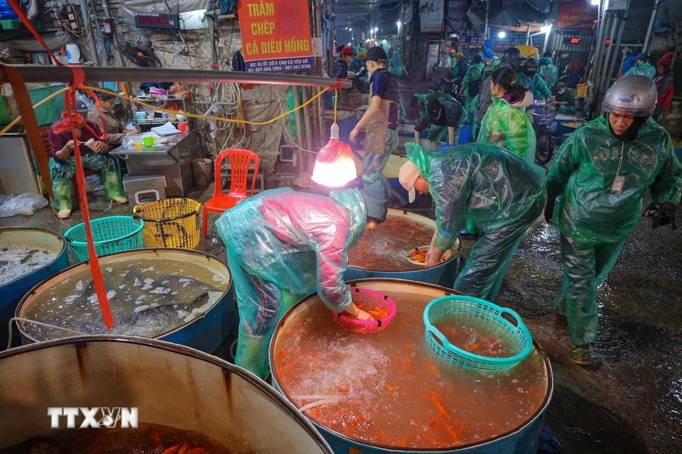 A large crowd of people visit Yen So Fish Market to buy red carps for the Kitchen Gods’ Festival. (Photo: VNA)