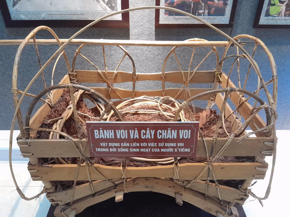 Items associated with the use of elephants in the daily life of the S’tieng. (Photo: VNA)