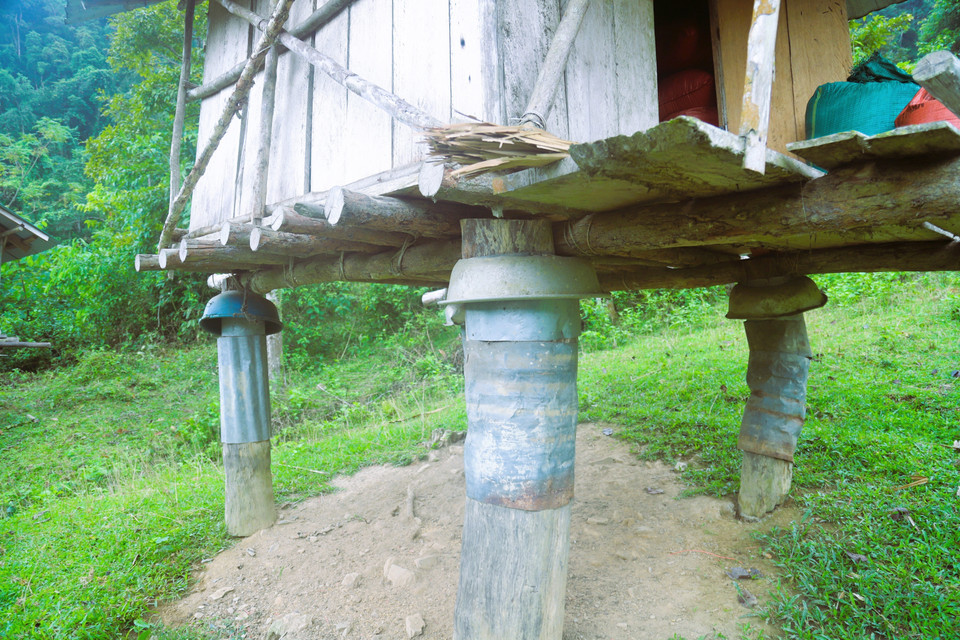To strengthen the structure and prevent termites, the granary’s supporting pillars are wrapped in thin metal sheets. (Photo: VNA)