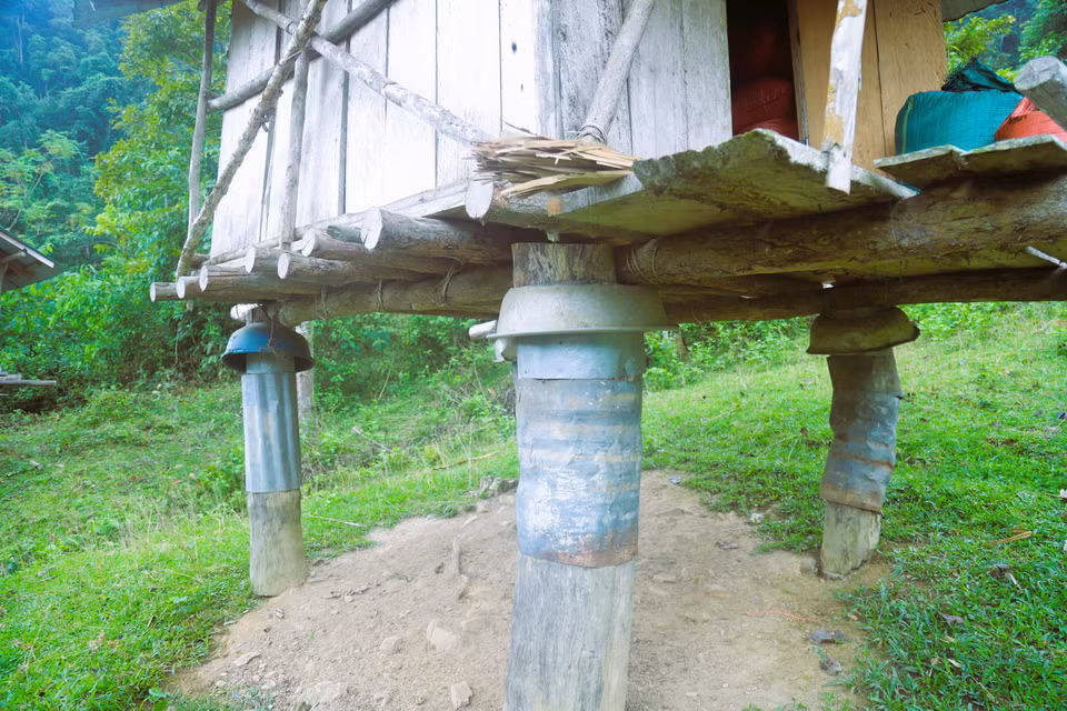 To strengthen the structure and prevent termites, the granary’s supporting pillars are wrapped in thin metal sheets. (Photo: VNA)