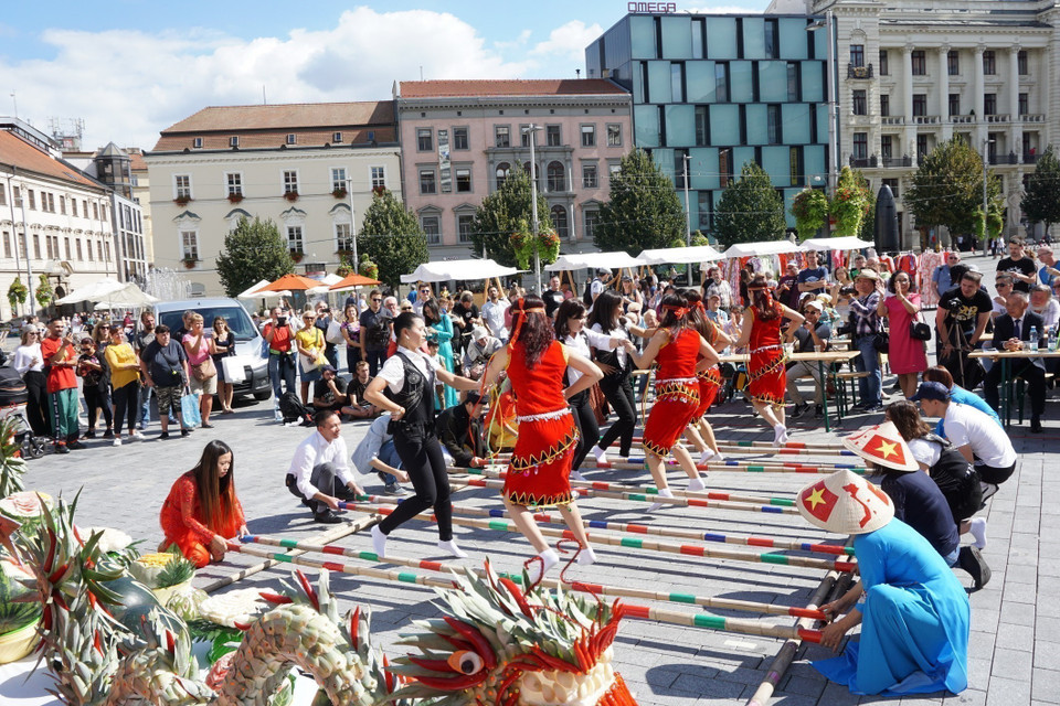The "Vietnam Culture Day" Festival in Brno, the capital of the South Moravian Region (the Czech Republic). (Photo: VNA)