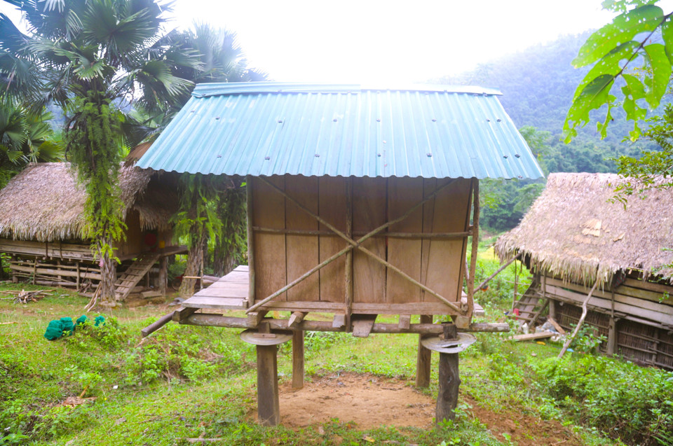 Each granary stands independently, about 30–70 metres from the owner’s house. After storing the sacks, the ladder is removed to ensure safety and prevent outsiders from climbing up. (Photo: VNA)