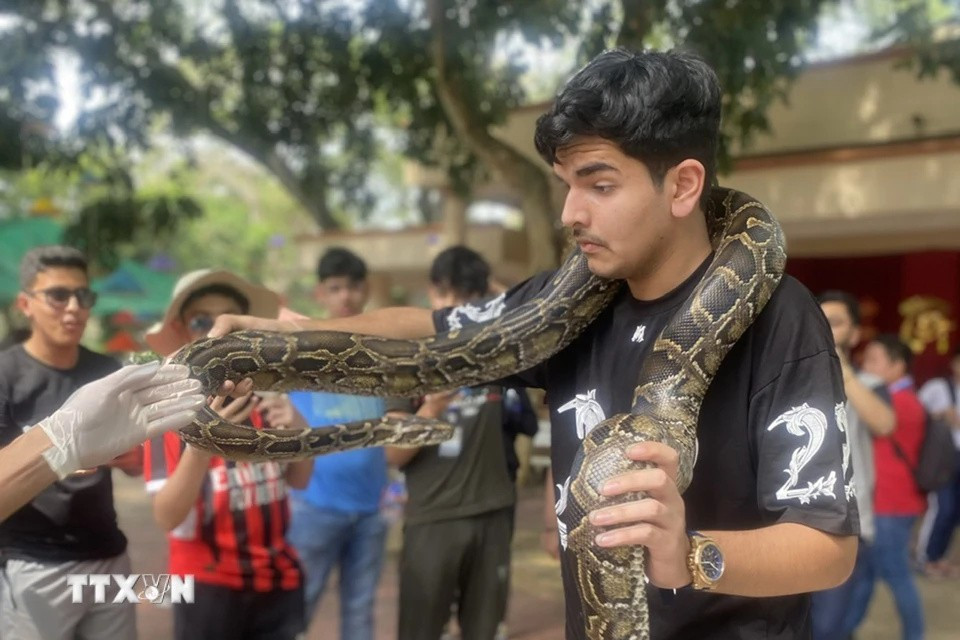 An Indian visitor poses for a photo with a python at Dong Tam Snake Farm. (Photo: Published by VNA)
