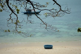 Da Nang’s Son Cha Island captivates with pristine natural charm