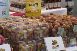 “Vietnamese Goods Day” promotes Bac Giang lychees in Germany