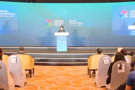 Boosting quality and impact of FDI in Vietnam 
