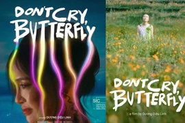 “Don’t cry, Butterfly” wins hearts, opens Vietnamese Film Days in US