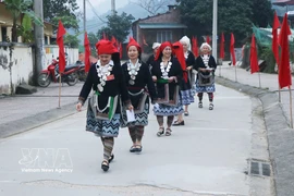 Vietnamese voters head to polls in National Assembly, People's Council election