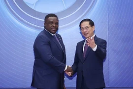 Hanoi Convention and global fight against cybercrime