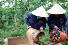 Agriculture Minister: No room for complacency despite exports surpassing 21 billion USD