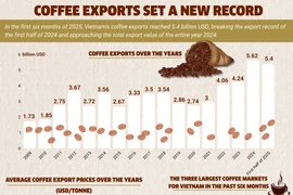 Coffee exports set a new record