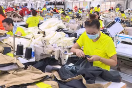Vietnam’s garment-textile industry stitching a greener future