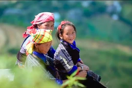 Vietnam ranks second in Southeast Asia in happiness index