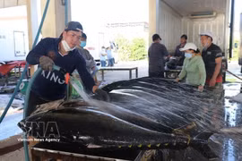 Vietnam’s fisheries move toward high-tech, green and sustainable development