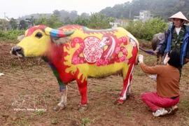 Buffalo body-painting competition delights festival-goers