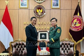 Vietnam, Indonesia pledge to deepen defence cooperation