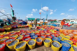 Ninh Thuan fishermen set sail for a prosperous year