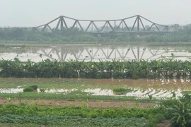Hanoi reels from Red River surge and Typhoon Bualoi downpours