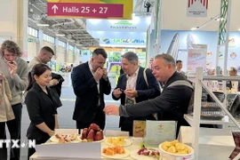 Vietnam makes largest-ever presence at Germany fruit fair