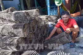 Dong Thap promotes traditional crafts