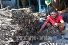 Dong Thap promotes traditional crafts